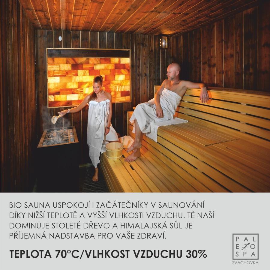 Wellness Hotel Svachovka Mirkovice Экстерьер фото